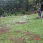 DSC07377