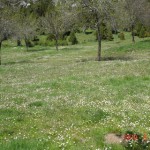 DSC07395