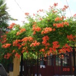 DSC07565