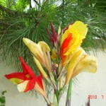 DSC07569