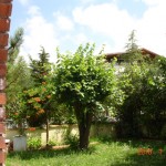 DSC07573