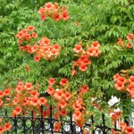 DSC07578