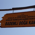 DSC07871