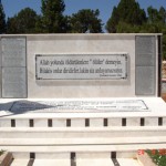 DSC09010