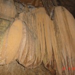 DSC09129