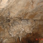 DSC09130