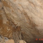 DSC09131