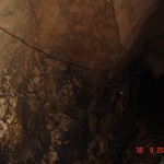 DSC09132