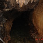 DSC09136