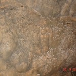 DSC09149