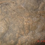 DSC09150