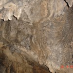 DSC09151