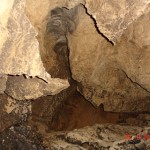 DSC09155
