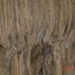 DSC09160