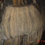 DSC09161