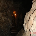 DSC09165