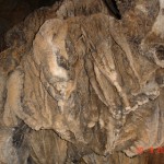DSC09167