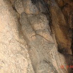 DSC09168
