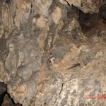 DSC09171