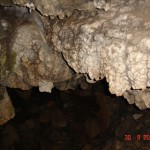DSC09174