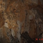 DSC09175