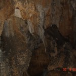 DSC09176