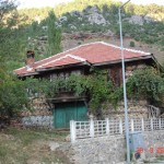 DSC09181