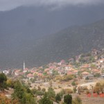 DSC09314