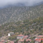 DSC09317