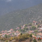 DSC09318