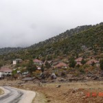 DSC09320
