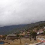 DSC09321