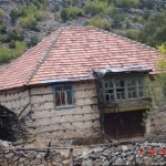 DSC09329