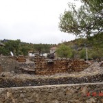 DSC09335
