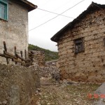 DSC09341