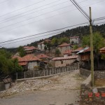 DSC09342