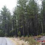 DSC09389
