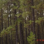 DSC09391
