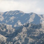GDNGLMZ (37) GDNGLMZ (37)