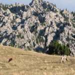 GDNGLMZ (41) GDNGLMZ (41)