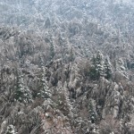 GDNGLMZ (45) GDNGLMZ (45)