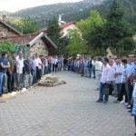 IMG_0075 IMG_0075
