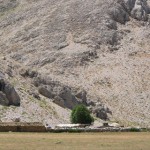IMG_0110