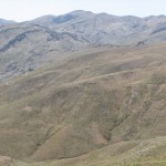IMG_0136