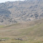 IMG_0137