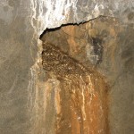 IMG_0145