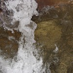 IMG_0149