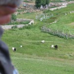 IMG_0163