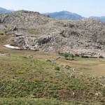 IMG_0176
