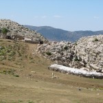 IMG_0179